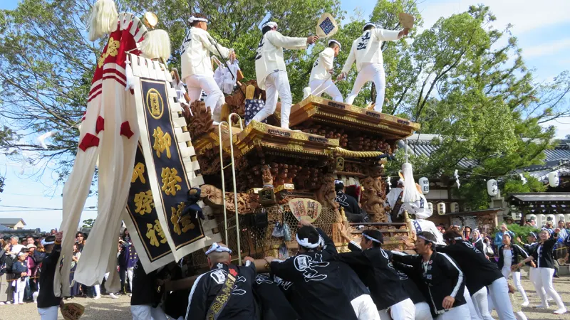 陶器だんじり宮入の風景